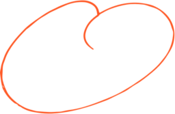 orange-lasso@2x